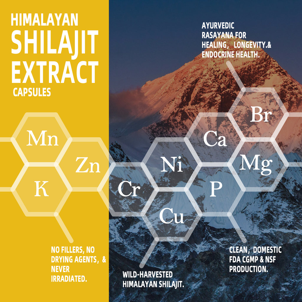 Pure Himalayan Shilajit Capsules